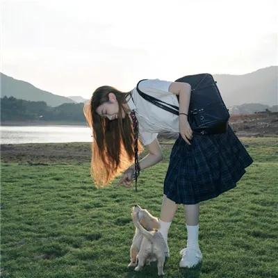 牧草